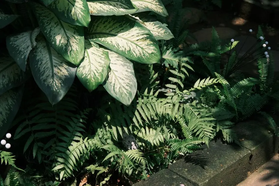Greens & Outdoors at L&T CENTRONA, Ghatkopar East, Mumbai