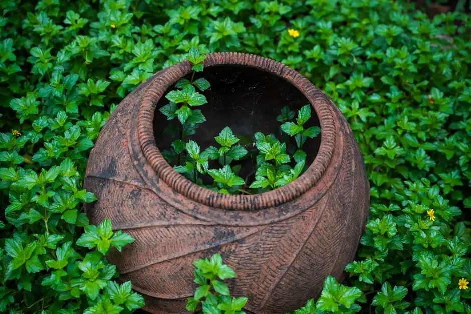 Greens & Outdoors at L&T VAYAM, Wagle Estate, Thane