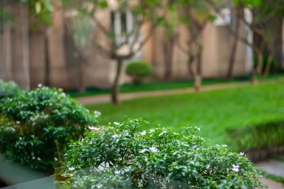 Greens & Outdoors at L&T REALTY KOGILU, Bangalore