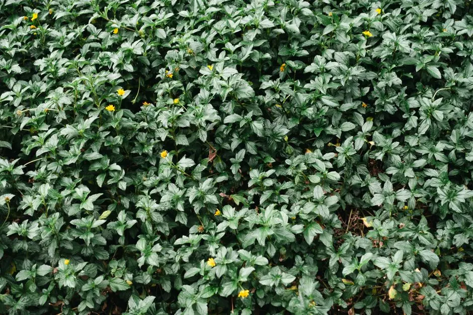 Greens & Outdoors at L&T THANISANDRA MAIN ROAD, Chokkanahalli, Bangalore