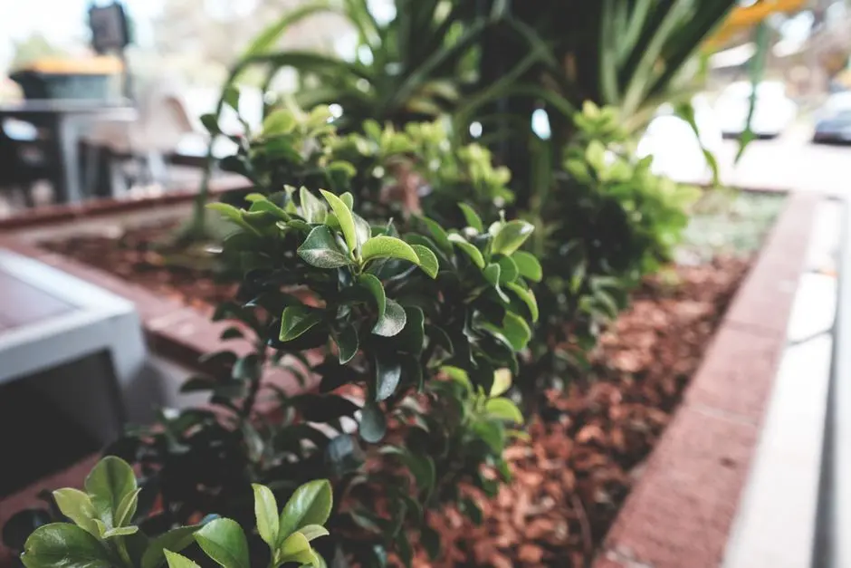 Greens & Outdoors at L&T SECTOR 150 NOIDA, Noida