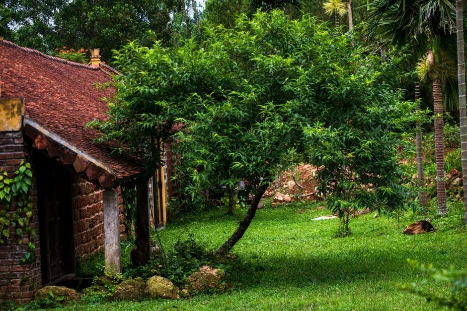 Greens & Outdoors at L&T ELIXIR DOVE, Powai, Mumbai