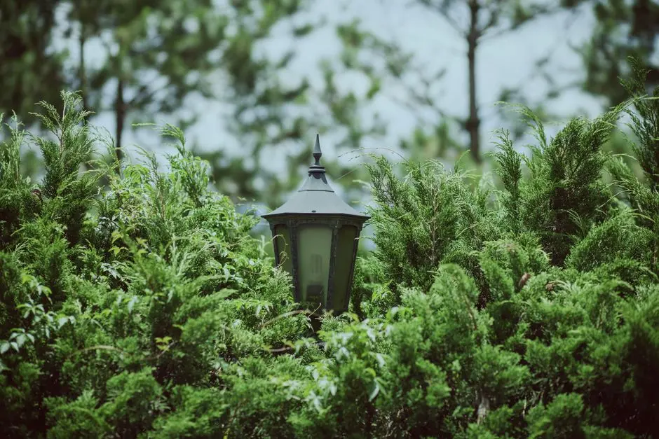 Greens & Outdoors at L&T JAKKUR, Bangalore