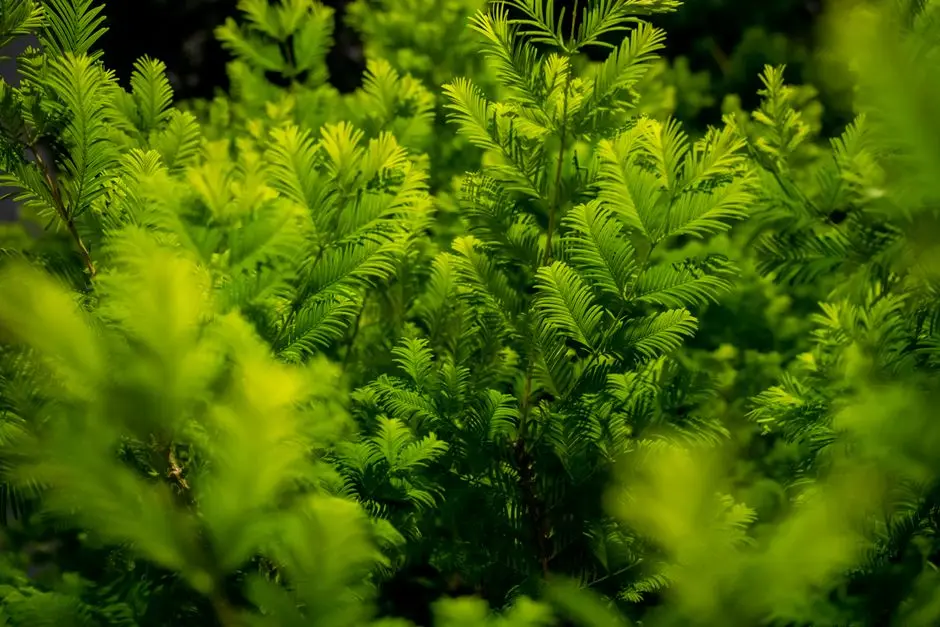 Greens & Outdoors at L&T EVARA HEIGHTS T5, Pokhran Road, Thane