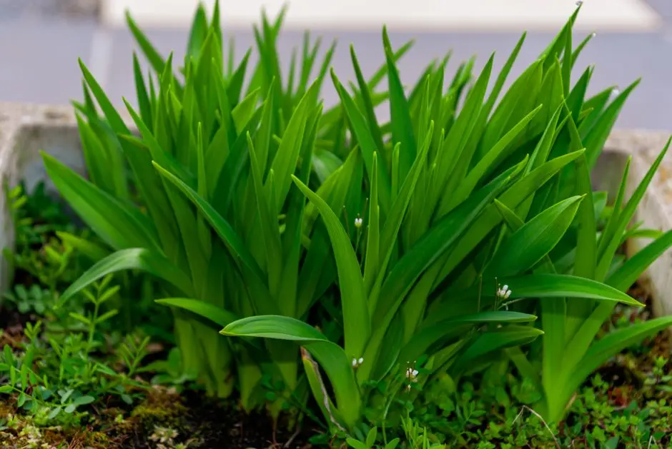 Greens & Outdoors at L&T REALTY SECTOR 81-86 GURUGRAM, New Gurugram, Gurgaon