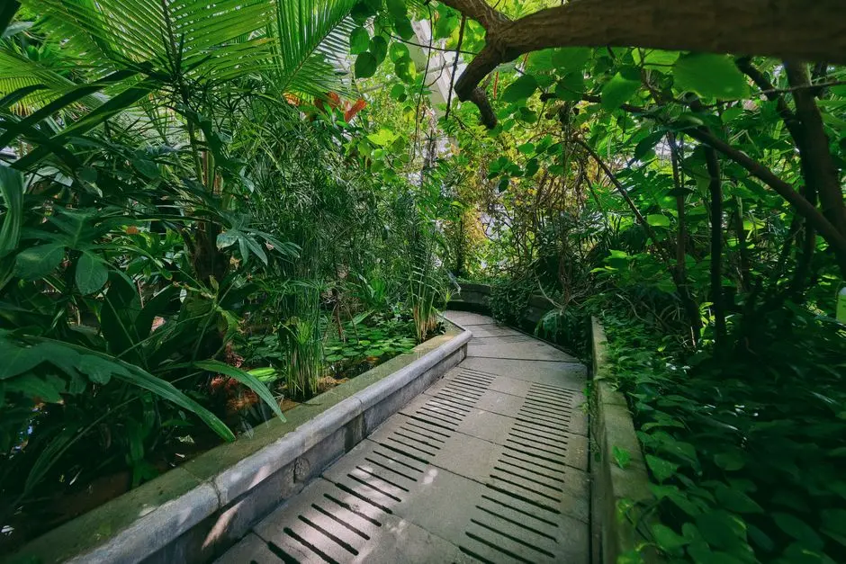Greens & Outdoors at L&T ELIXIR RESERVE - IBIS, Powai, Mumbai