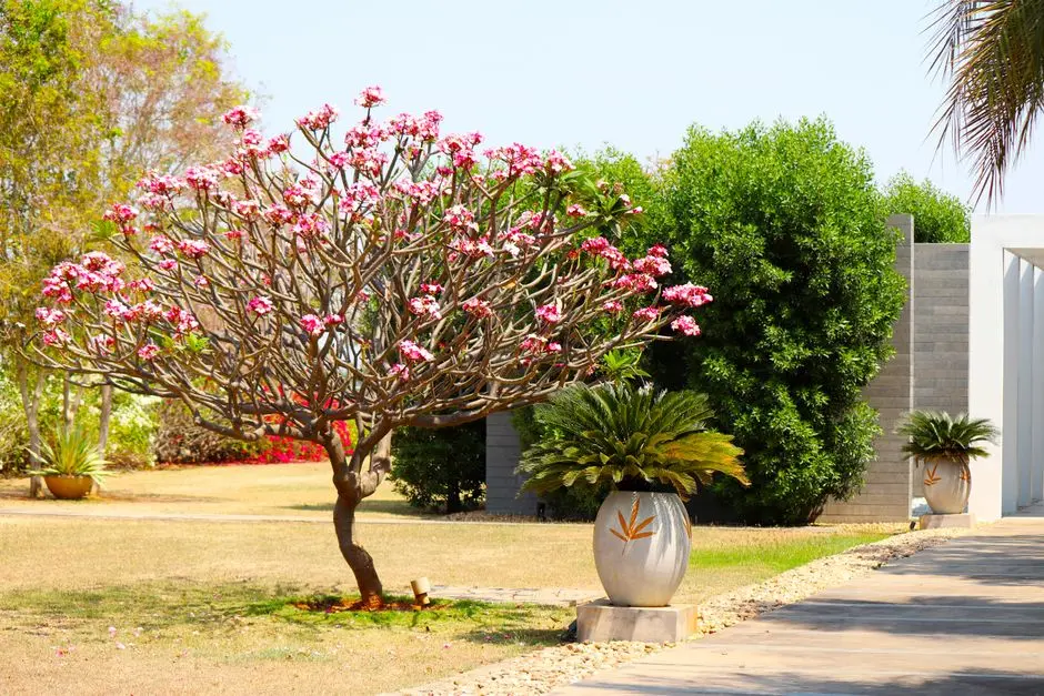 Greens & Outdoors at L&T REALTY WORLI, Mumbai