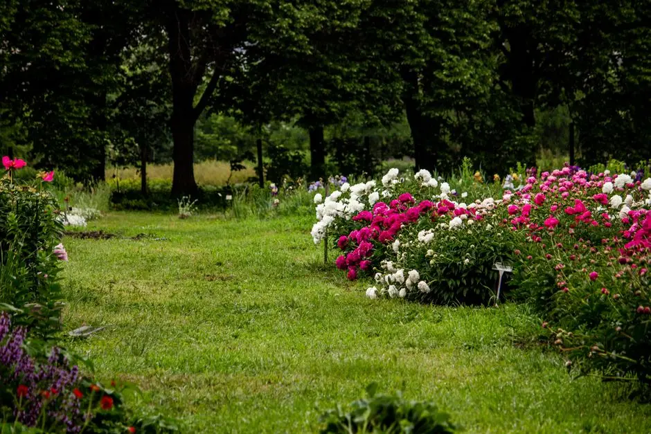 Greens & Outdoors at L&T THANISANDRA, Chokkanahalli, Bangalore