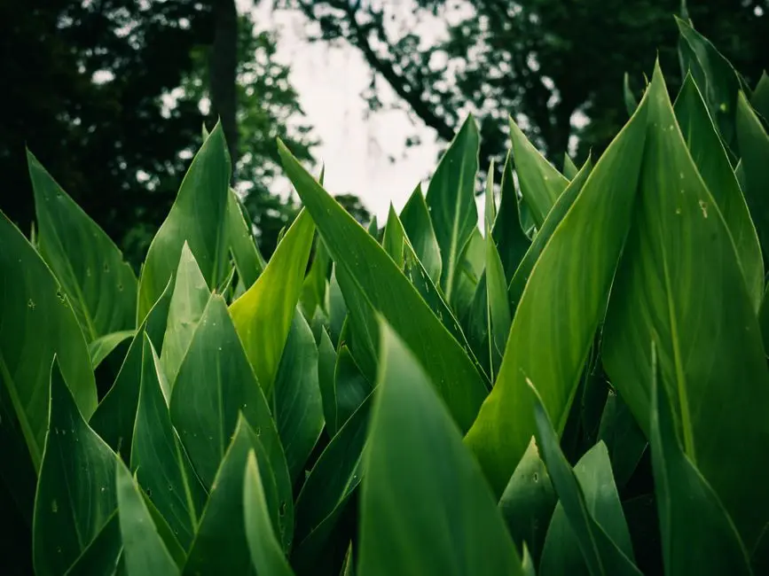 Greens & Outdoors at L&T MOTI NAGAR CENTRAL DELHI, Delhi